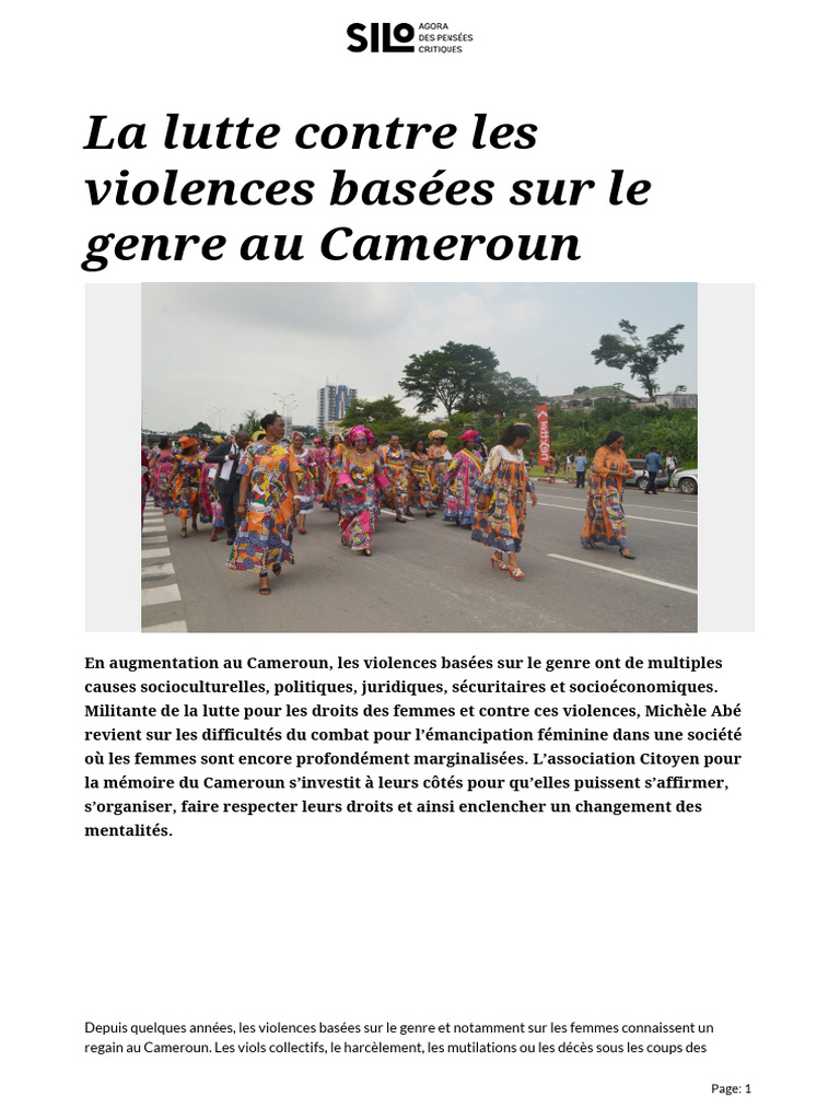 La Lutte Contre Les Violences Bases Sur Le Genre Au Cameroun | PDF