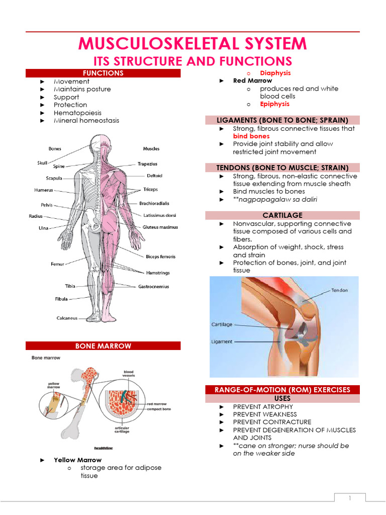 Ms Musculoskeletal Ortho | PDF | Arthritis | Rheumatoid Arthritis