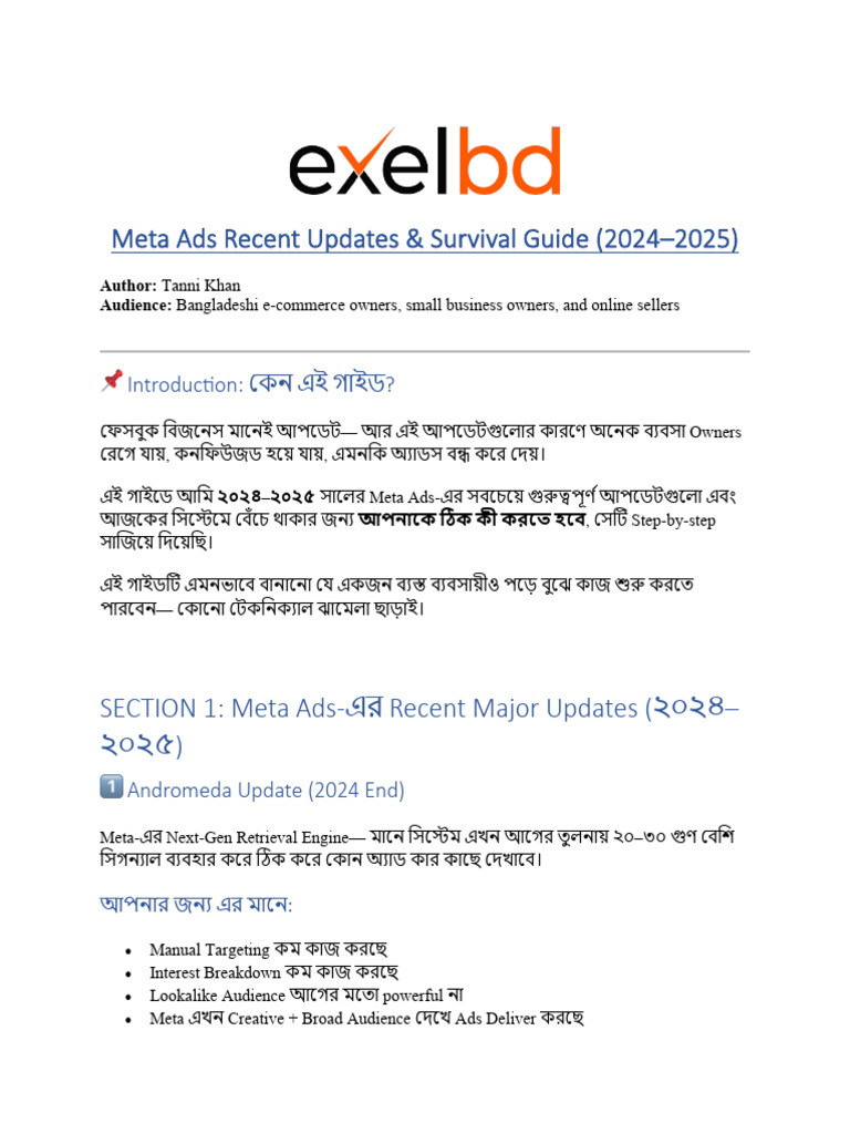 Meta Ads Recent Updates Survival Guide 2024–2025 (1) | PDF