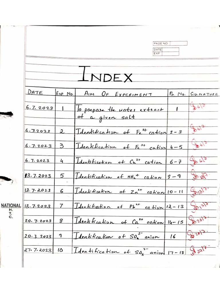 Class 10 Chemistry Practical File Matter | PDF