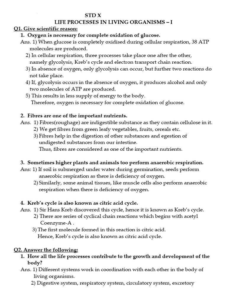 Life Processes Part 1 | PDF | Cellular Respiration | Citric Acid Cycle