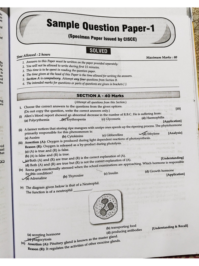 le re?? | PDF