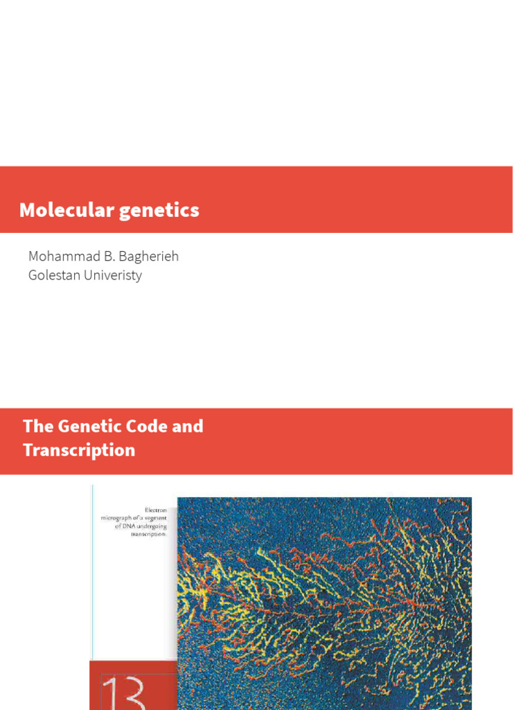 Ch13 Molecular Genetics | PDF | Messenger Rna | Genetic Code