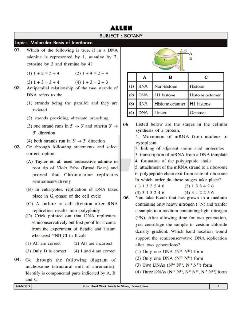 Molecular Basis of Inheritance Practice Sheet | PDF