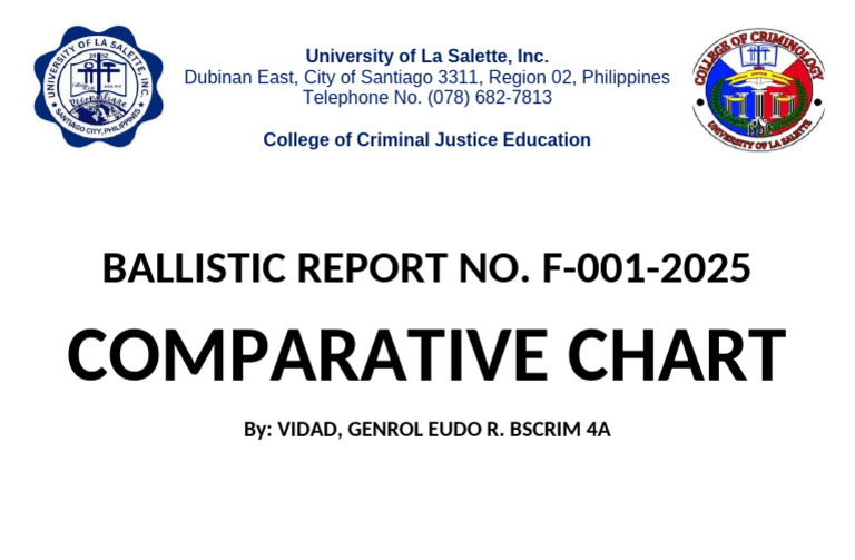 Ballistic Report | PDF