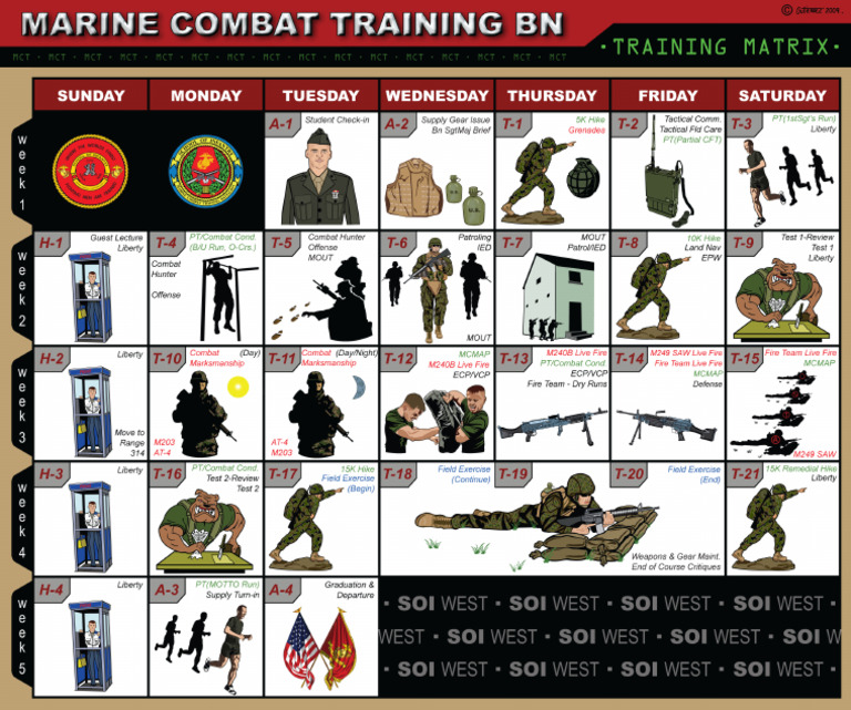 MCT Matrix | PDF