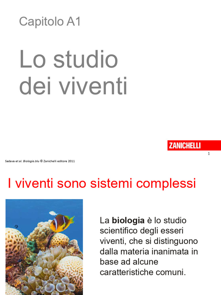 Copia Di Copia Di Sadava - nuovaBiologiaBluS - Capa1 | PDF