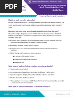 Audit Corrective Action Plan Template | PDF | Risk | Audit