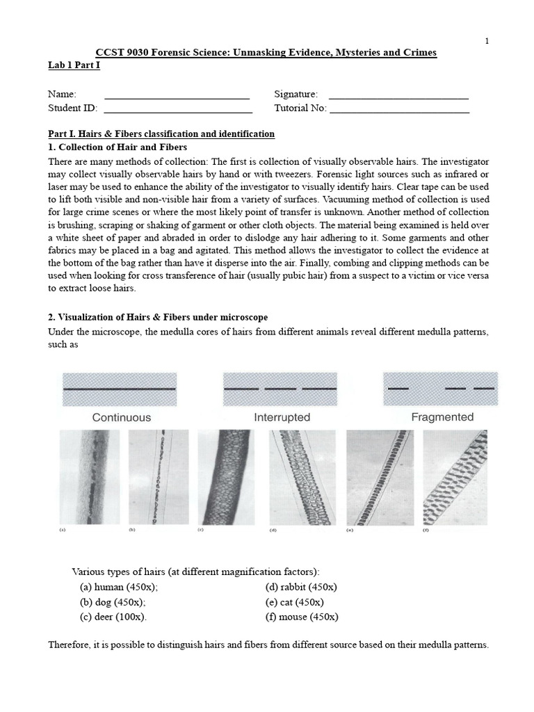 CCST9030 Lab1 Protocol - 2025 | PDF | Fingerprint | Hair