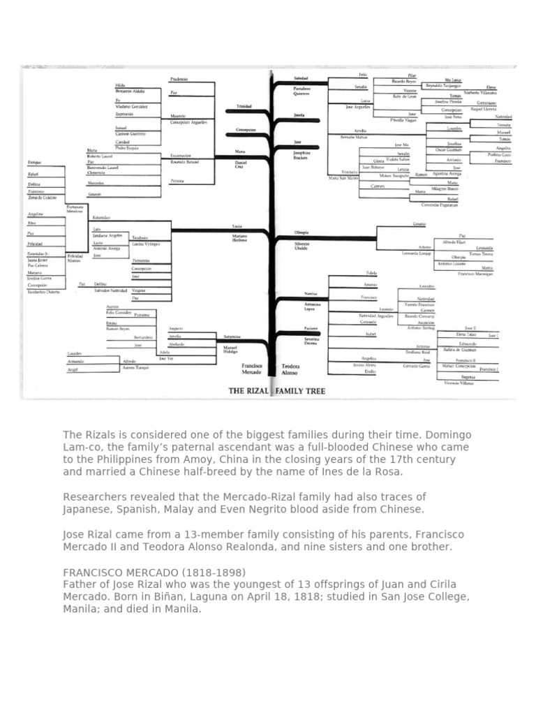 Rizal's Family Tree | PDF
