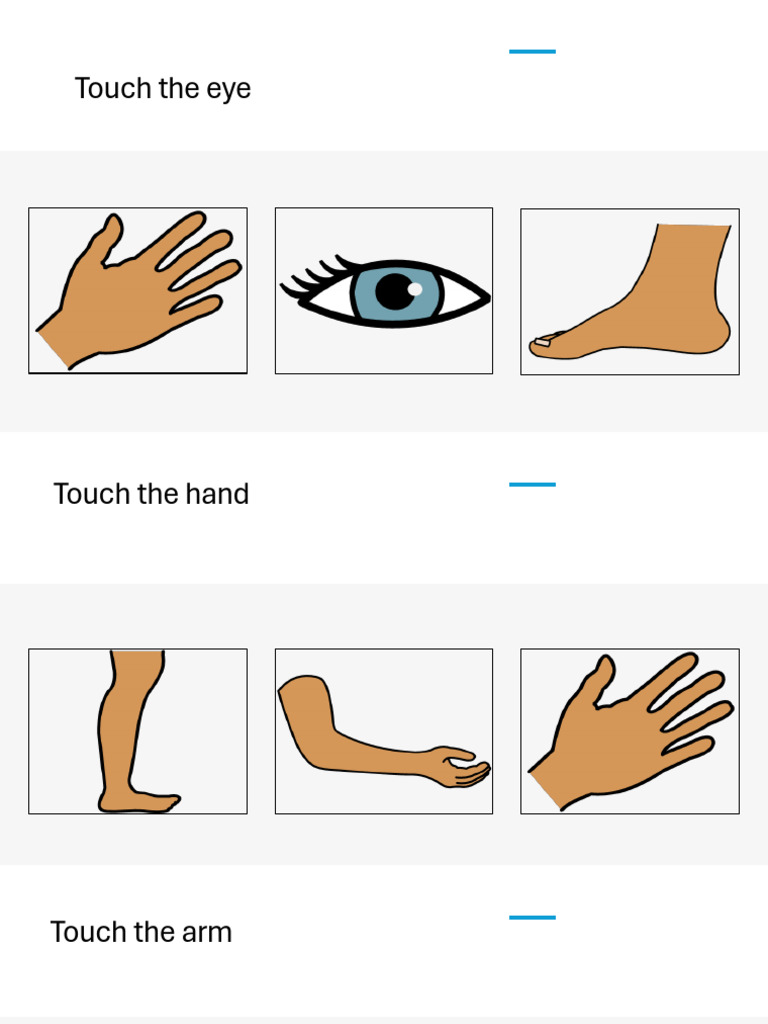 Receptive Body Parts | PDF