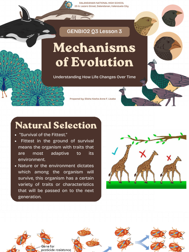 GENBIO2 Q3L3 Mechanisms of Evolution | PDF | Genetic Recombination ...