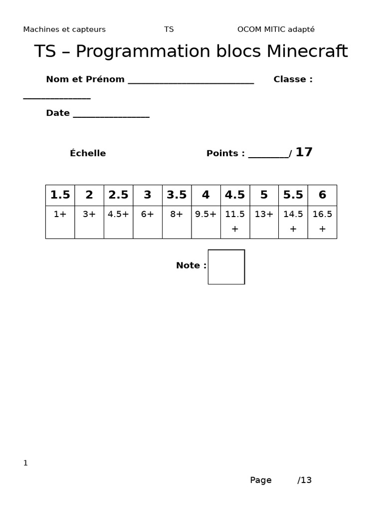 TS Programmation Minecraft Adapté | PDF
