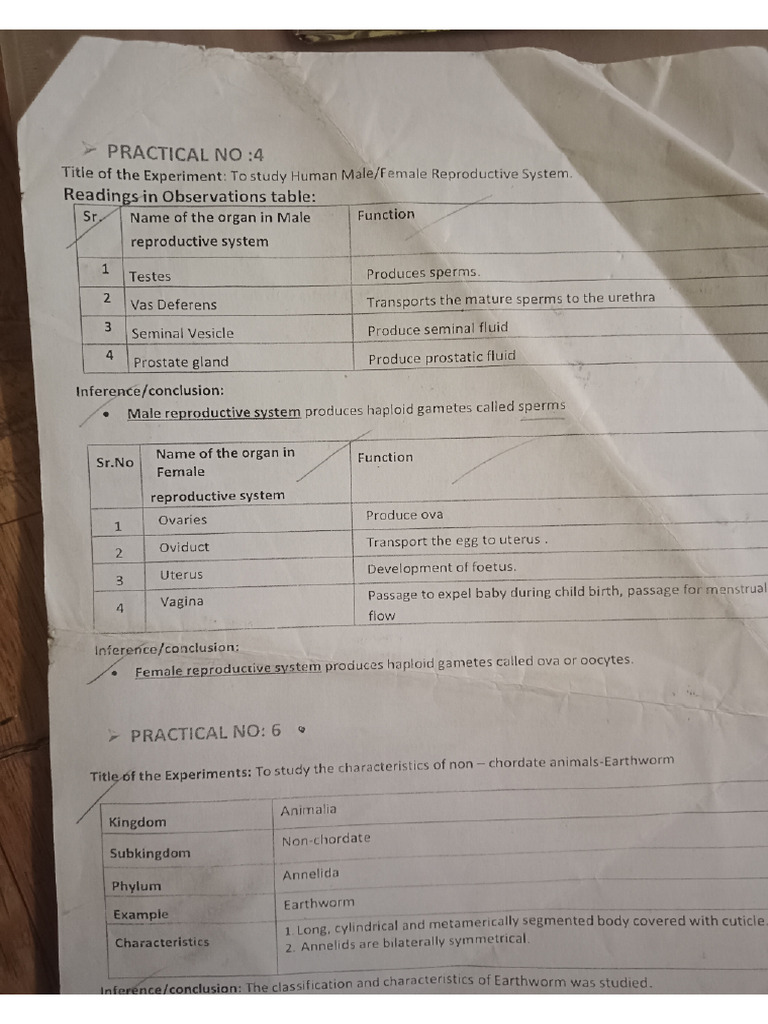 Practical Sci 1 and 2 | PDF