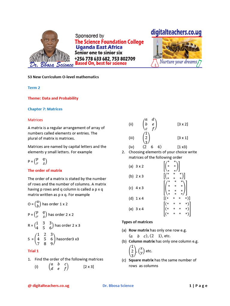 S3 New Curriculum O Level Math Chapter 7 Matrices | PDF | Matrix ...