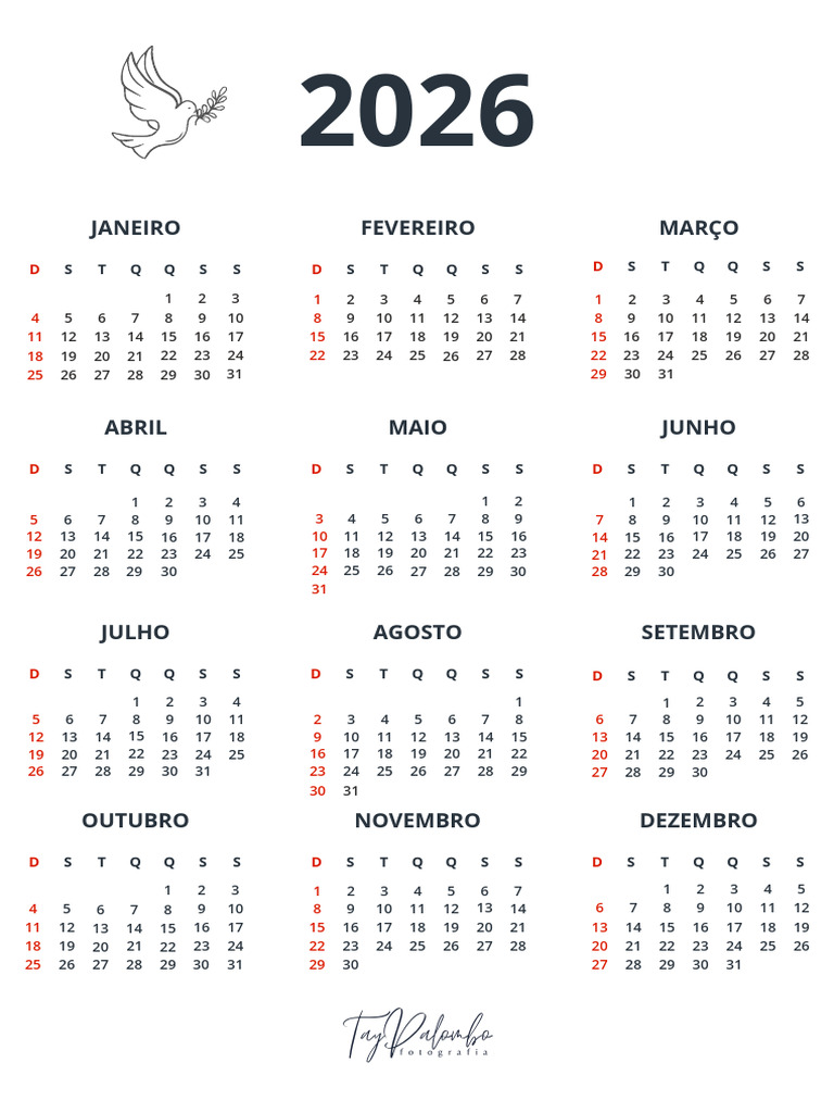 Calendário A4 2026 Ilustrado Com Borda Floral Colorida | PDF