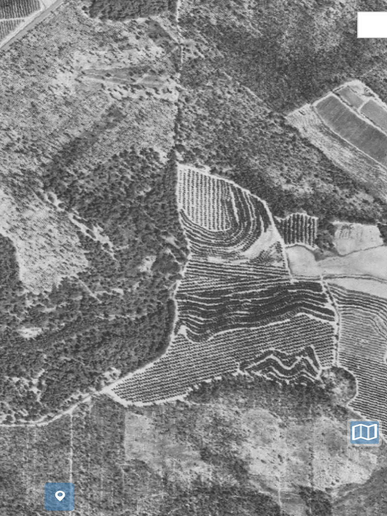 Visor de información geográfica de la REDIAM 2 | PDF