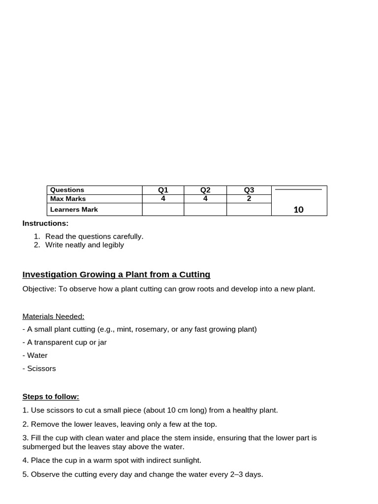 N.S.T. Practical Task Term 1 2025 | PDF