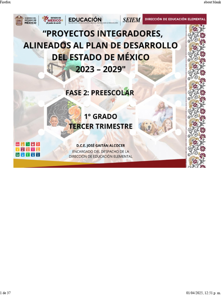 Proyecto Integrador 1 | PDF