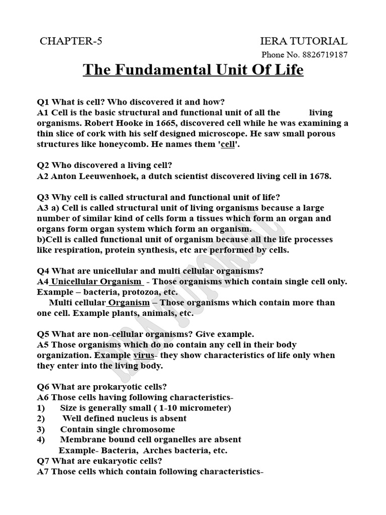 9th Bio Chapter 5 With Pics | PDF | Cell (Biology) | Endoplasmic Reticulum