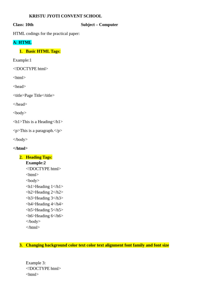 10th Computer Practical | PDF