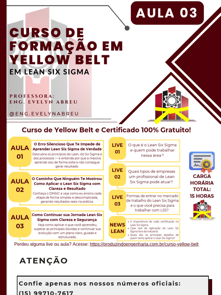 Aula 03 - Yellow Belt em Lss - Jan26 | PDF | Seis Sigma | Teoria Geral ...