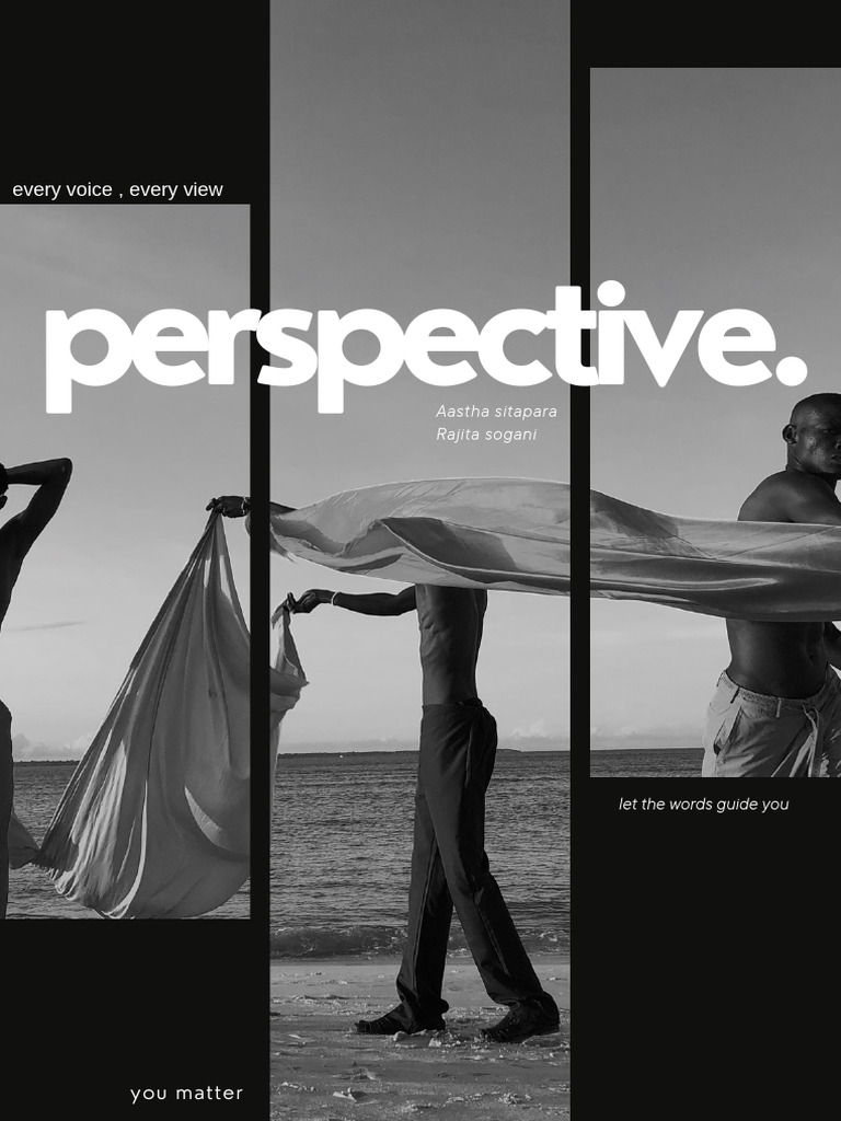 Perspective | PDF