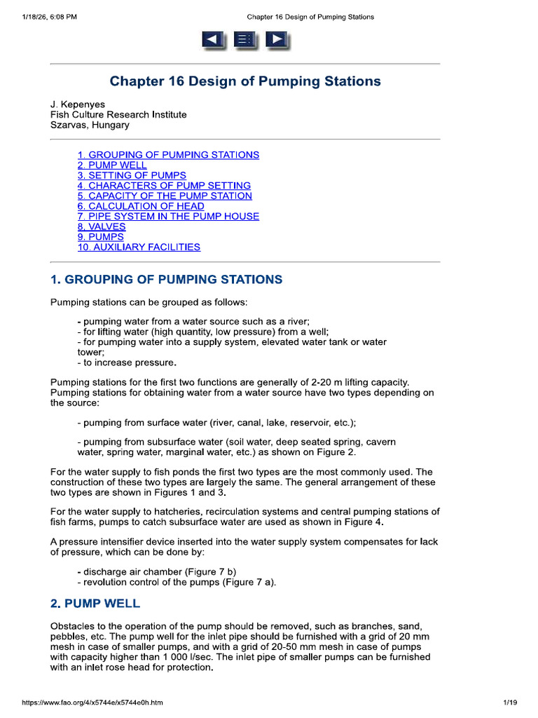 Pump Design | PDF