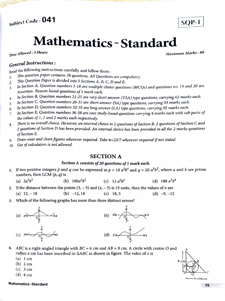 MathStandardSamplepaper 1 | PDF