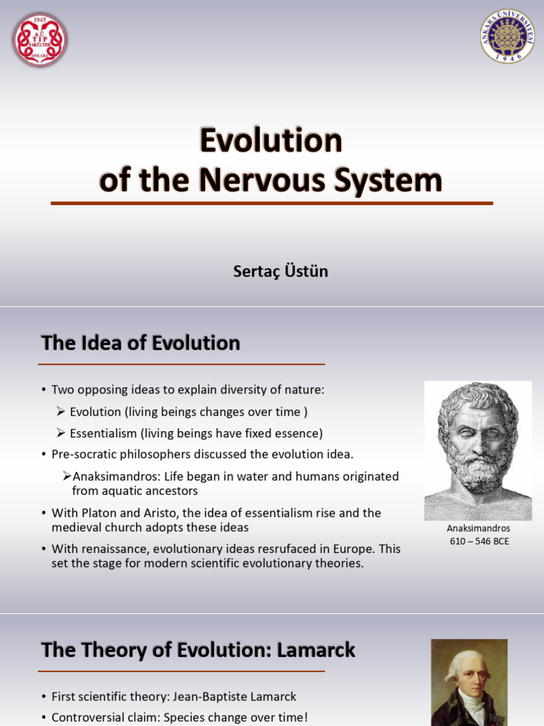 EvolutionofNervousSystem | PDF | Brain | Nervous System
