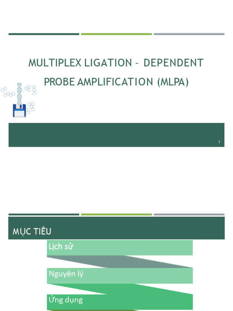 6 Mlpa | PDF