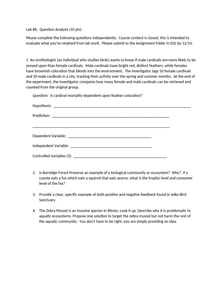 Lab 6 Question Analysis B | PDF