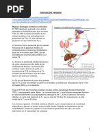 Portafolio de Exámenes Colcan | PDF