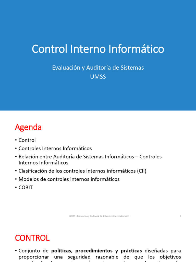 Controles Internos Inf PREG | PDF | Auditoría | Informática