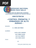 Control Prenatal y Embarazo de Alto Riesgo