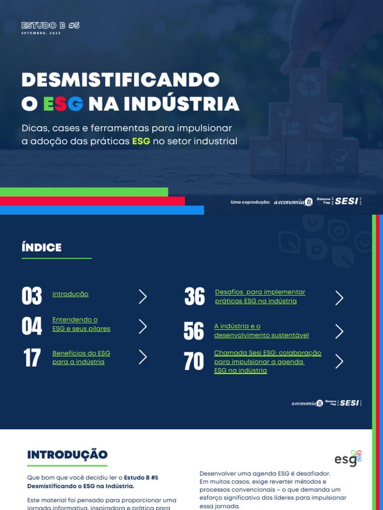 Ebook Desmistificando o ESG para A Industria (108120) | PDF ...