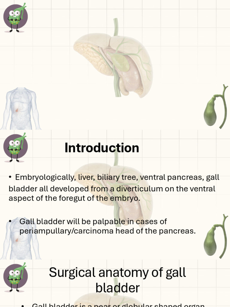 Gall Bladder Surgergical Anatomy | PDF | Gallbladder | Liver