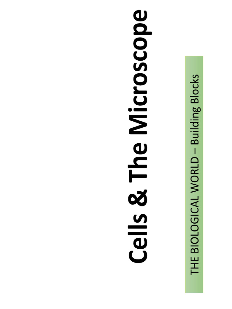 Cell | PDF