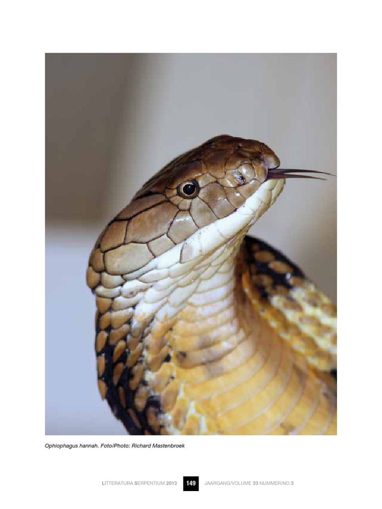 Curated visual reference: Picture Idea: Litteratura Serpentium 33 3 149 155 Mastenbroek Feeding King Cobras