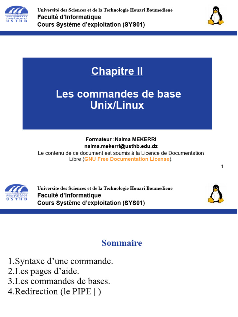 Copie de Chapter 2 Basic Linux Commands | PDF | Interface en ligne de ...