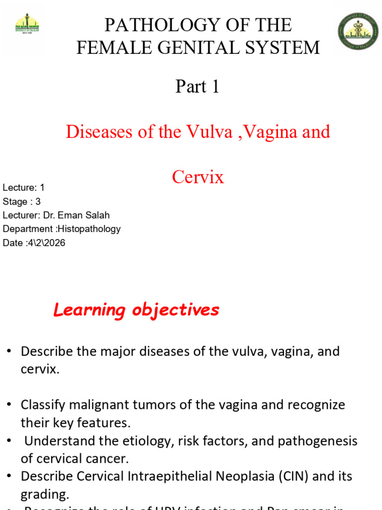Pathology of Female Genital Tract 1 | PDF | Cervical Cancer | Mammal ...