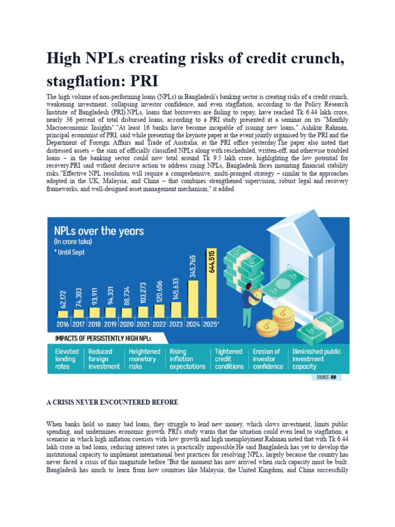 NPL | PDF | Credit Crunch | Banks