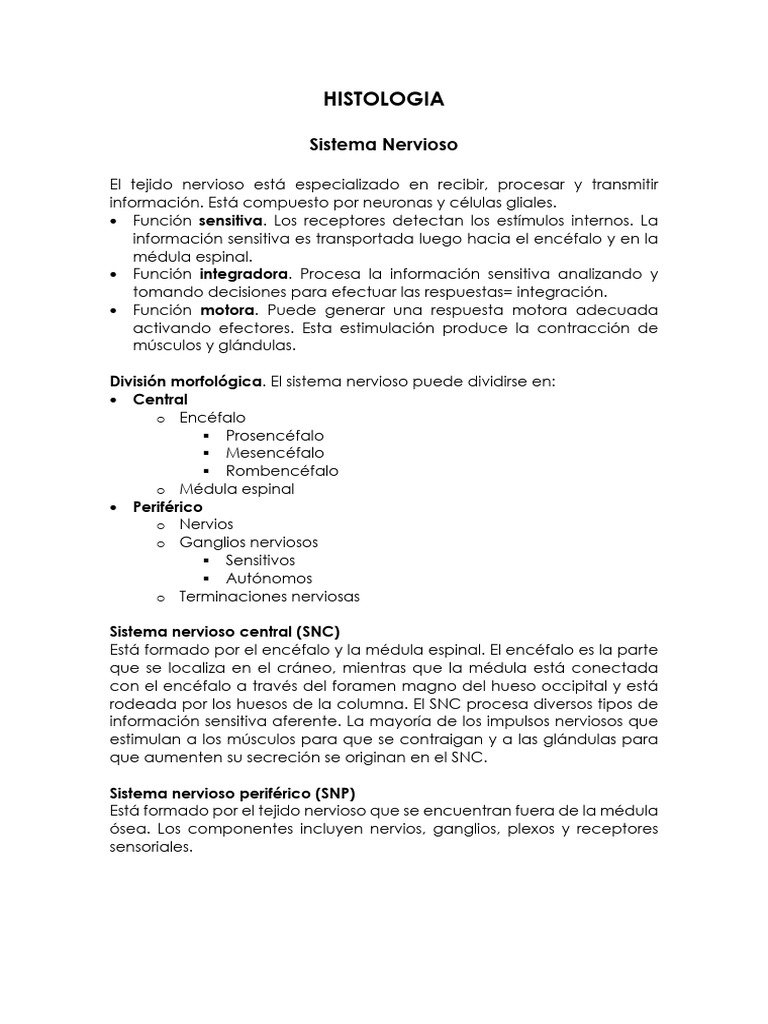 HISTOLOGIA Sistema Nervioso | PDF | Sinapsis | Neurona