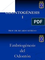 odontogenesis 1