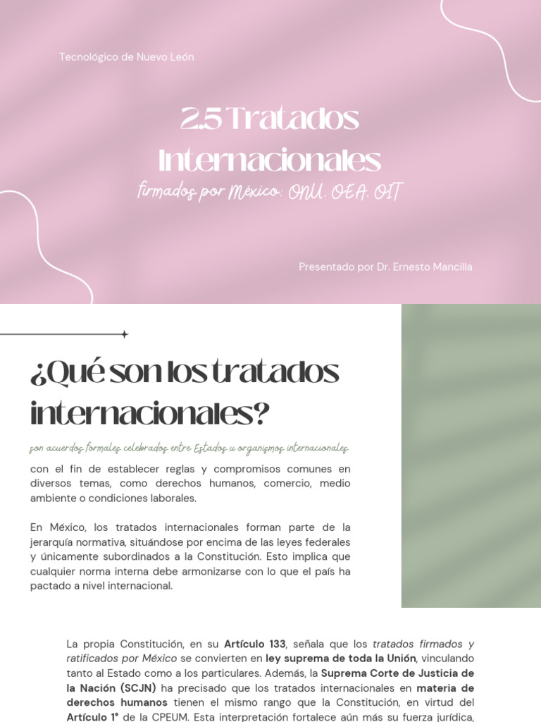 2.5 Tratados Internacionales | PDF | Seguridad y salud ocupacional ...