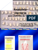 1° Clase Generalidades Antomia Dentaria-1