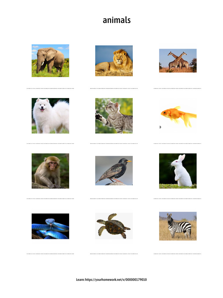 PDF 2 - animals (2) | PDF