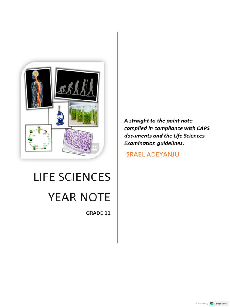 Grade 11 Year Note | PDF