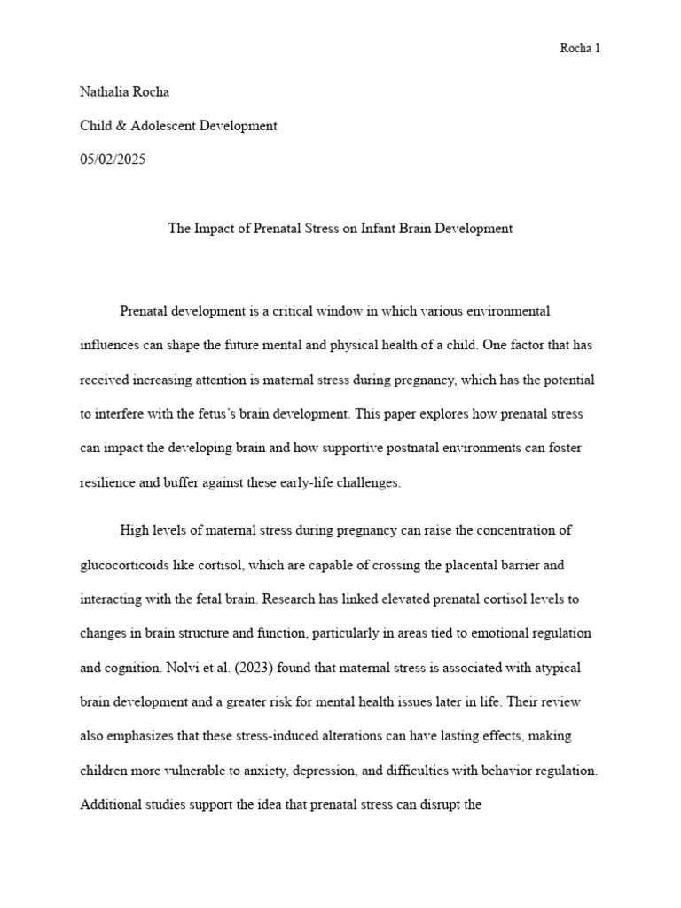 Rocha - The Impact of Prenatal Stress On Infant Brain Development | PDF ...