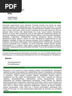 DESCRIÇÃO BOTÂNICA